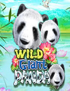 เว็บ ค่า สิ โน เปิด ใหม่ แจก เครดิต ฟรี วิธีเล่นเกมสล็อต